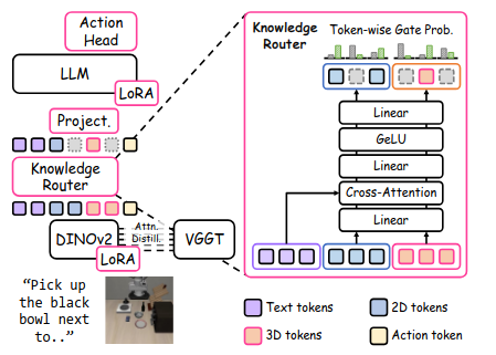 Model architecture showing spatial representation distillation and token-wise knowledge routing